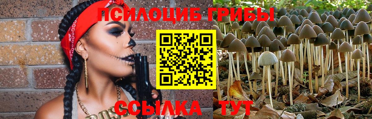 Галлюциногенные грибы Cubensis Биробиджан