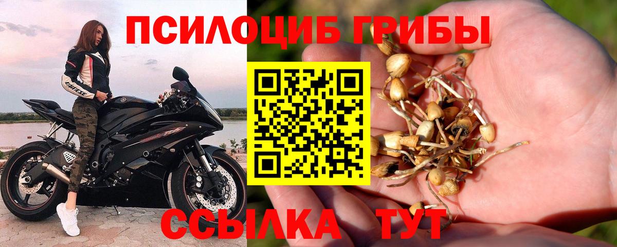 Биробиджан  Псилоцибиновые грибы мухоморы  Галлюциногенные грибы ЛСД  Вход с VPN 